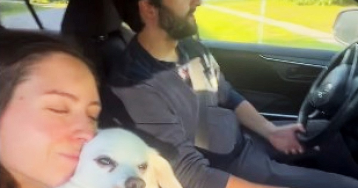 Se iban a casar, su perro se enfermó y gastaron todo el presupuesto de su boda para salvarlo: “Elvis está primero”