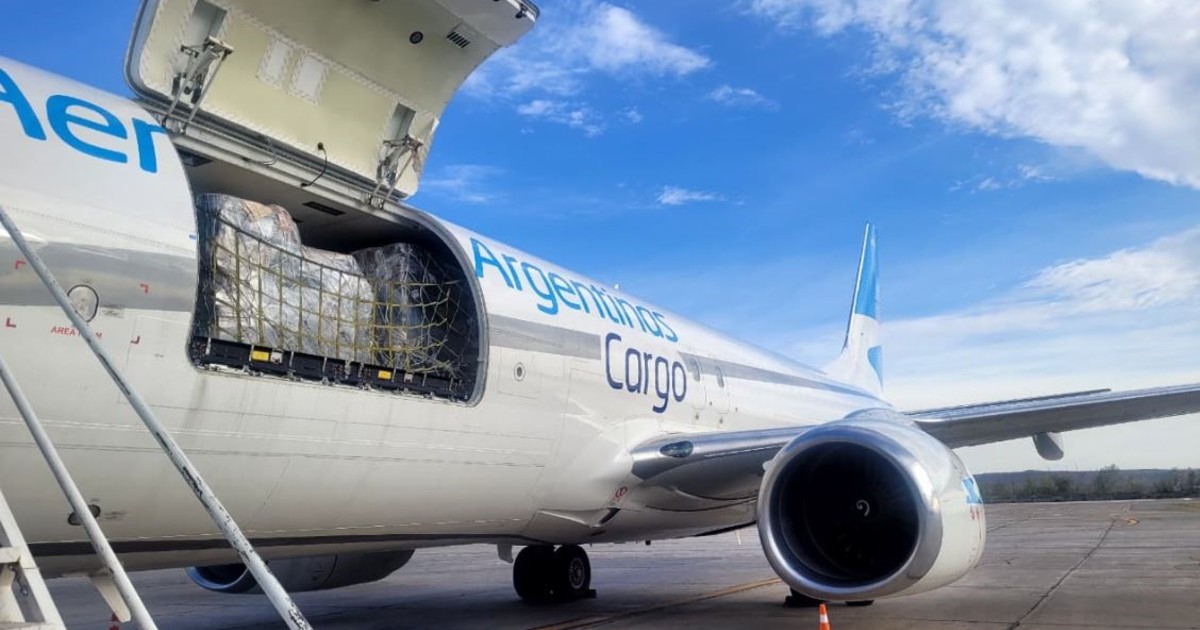 Mercado Libre incursiona en envíos aéreos en la Argentina: la prueba piloto que arrancó con Aerolíneas Argentinas y Mirgor