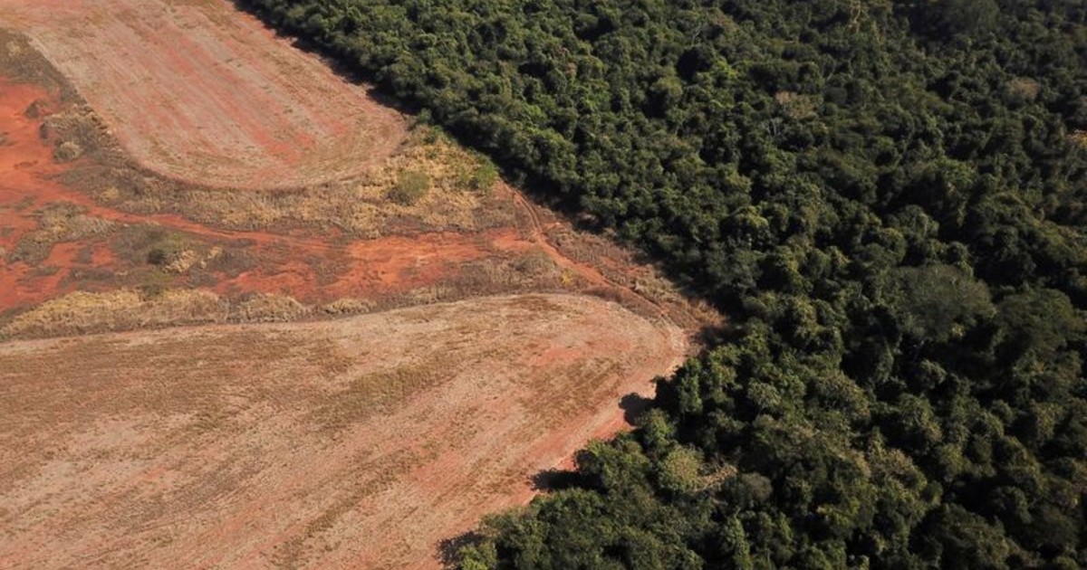 La Unión Europea volvería a aplazar la aplicación de la ley contra la deforestación