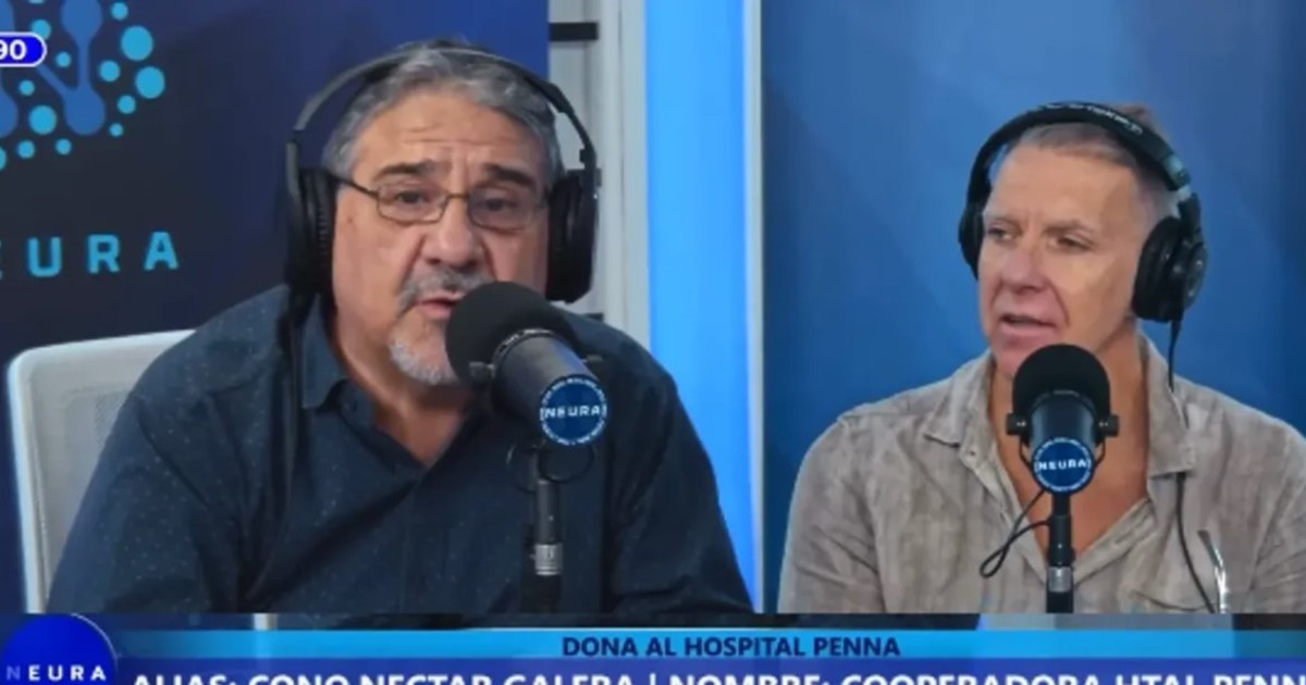 Un columnista de Alejandro Fantino declaró en la Justicia que Diego Spagnuolo le dijo que “Lule” Menem “manejaba todo en la ANDIS”