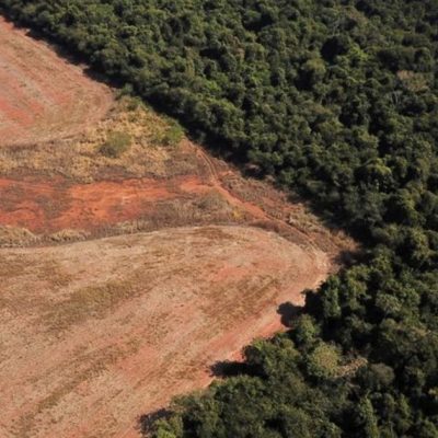 La Unión Europea volvería a aplazar la aplicación de la ley contra la deforestación